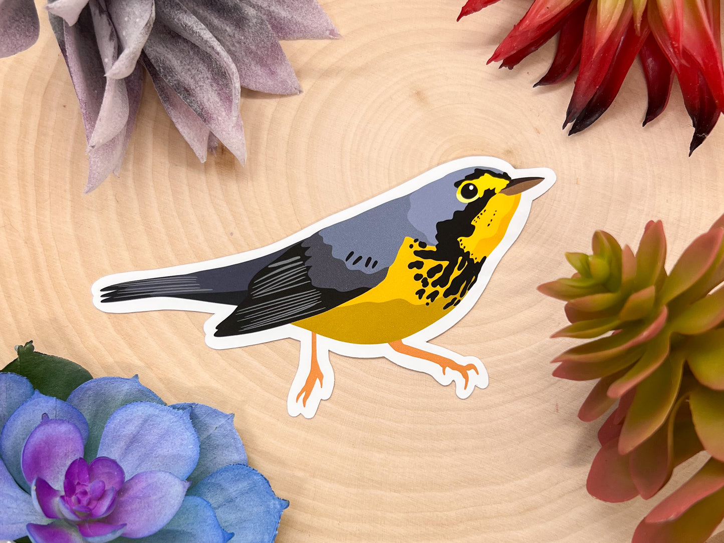 Canada Warbler Sticker