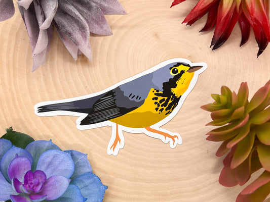 Canada Warbler Sticker