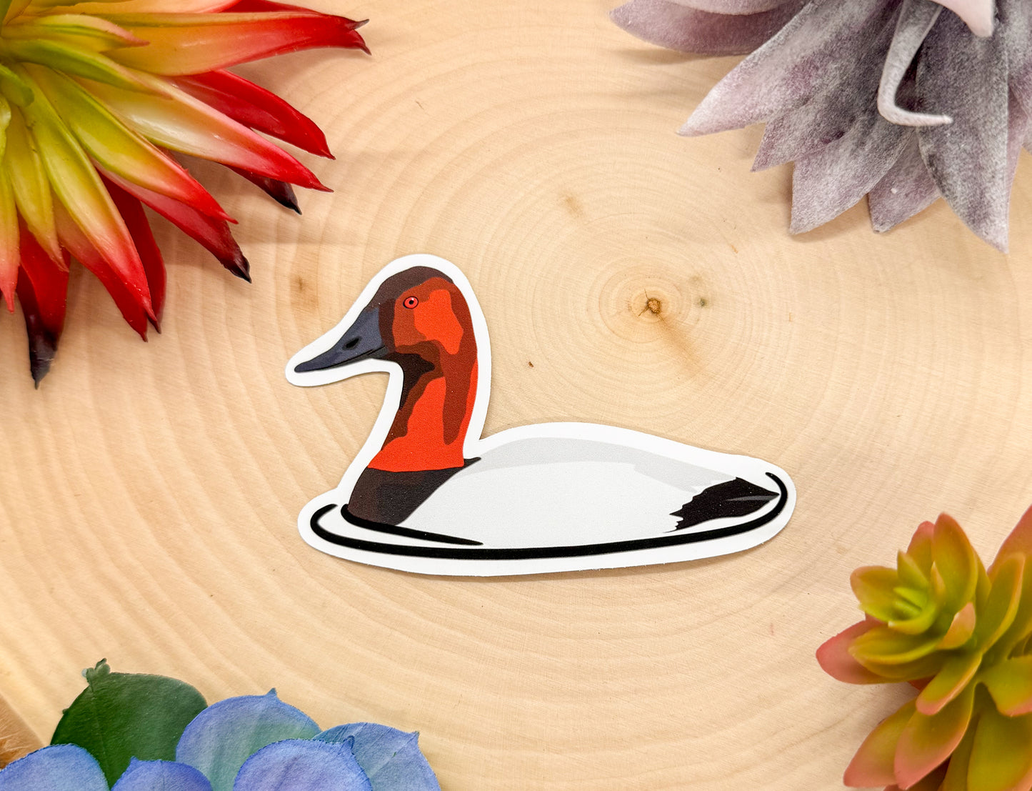 Canvasback Sticker