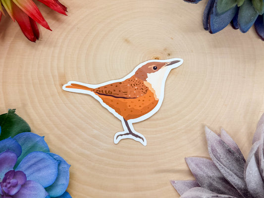 Canyon Wren Sticker