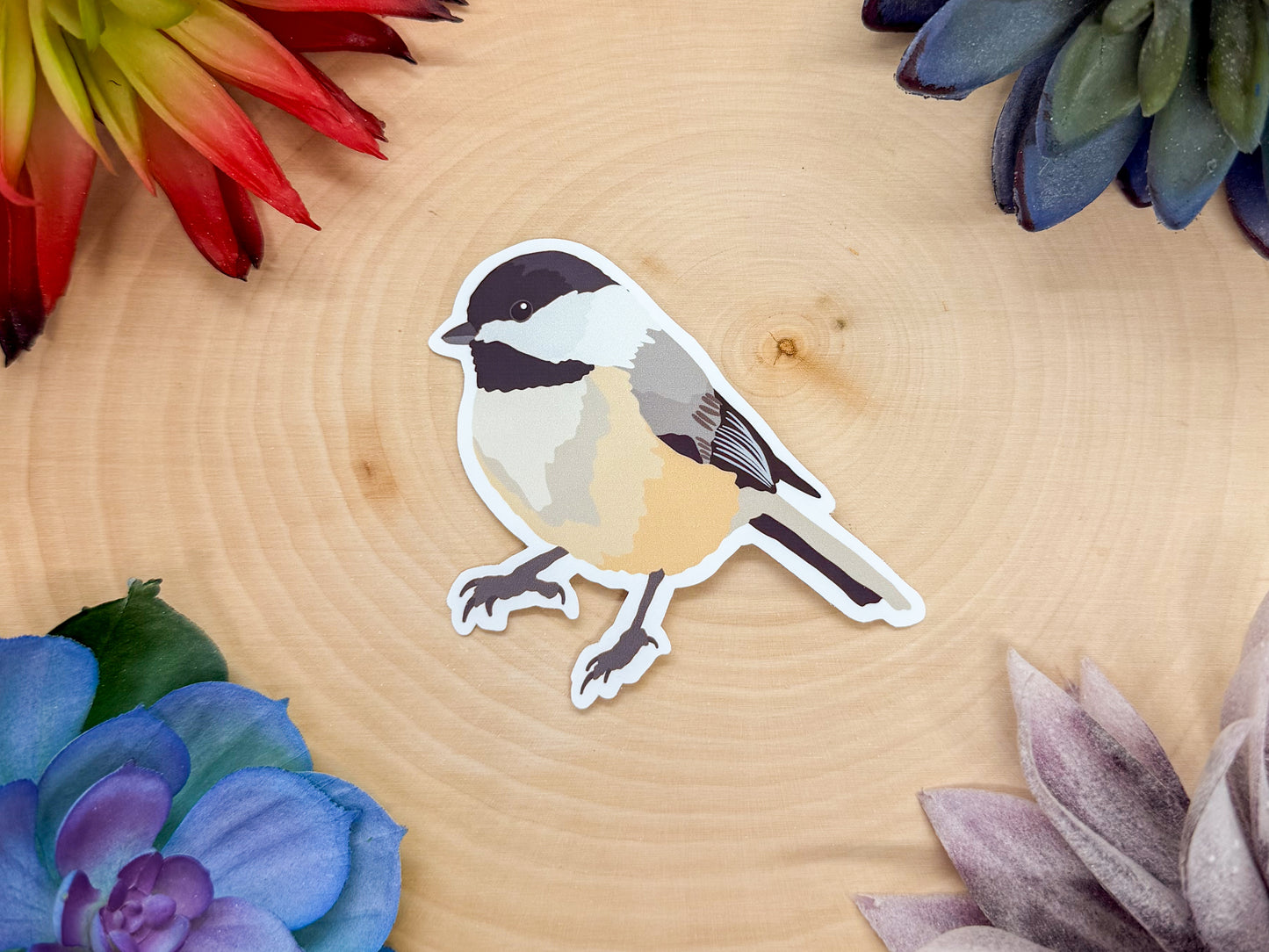 Carolina Chickadee Sticker