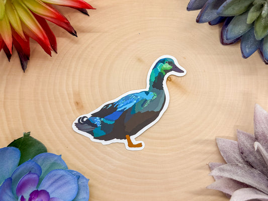 Cayuga Duck Sticker