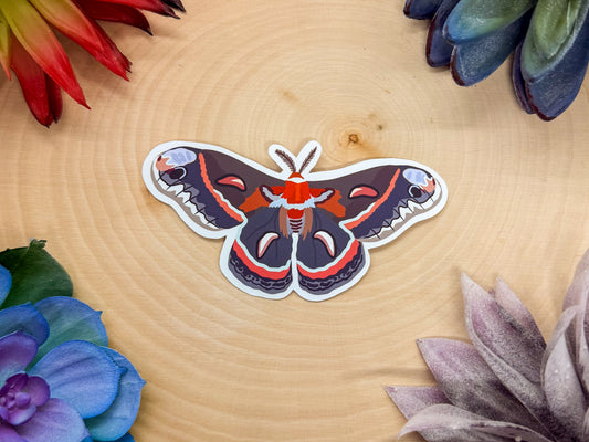 Cecropia Moth Sticker