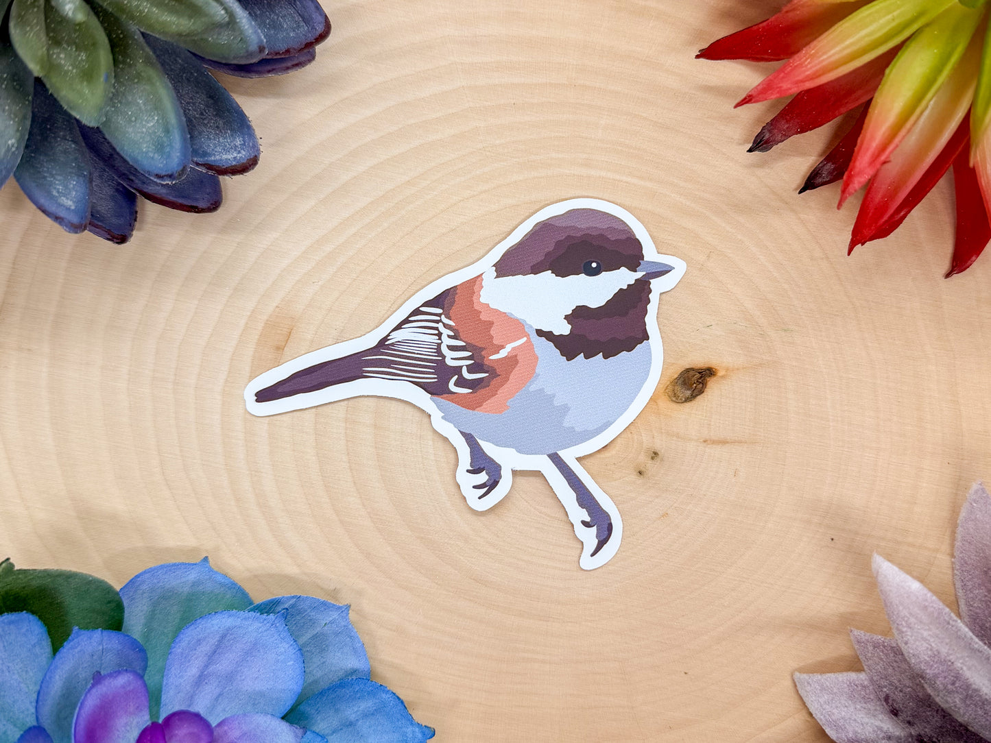 Chestnut Backed Chickadee Sticker