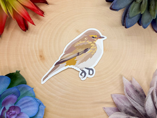 Chiffchaff Sticker