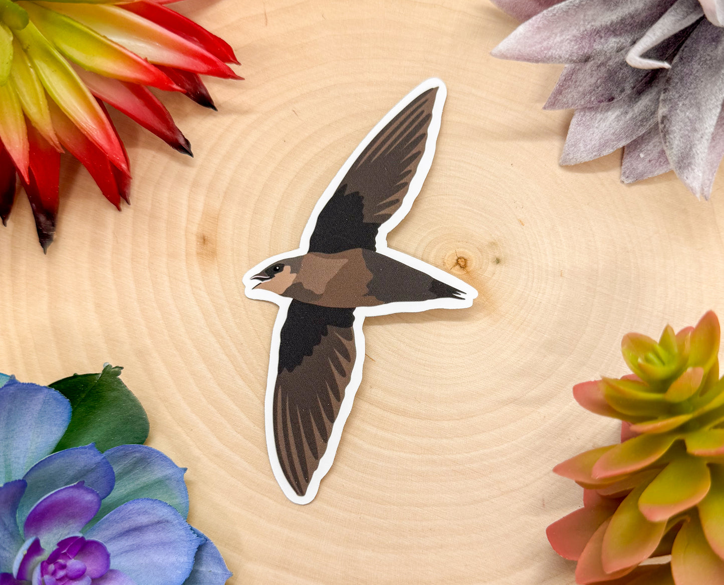 Chimney Swift Sticker