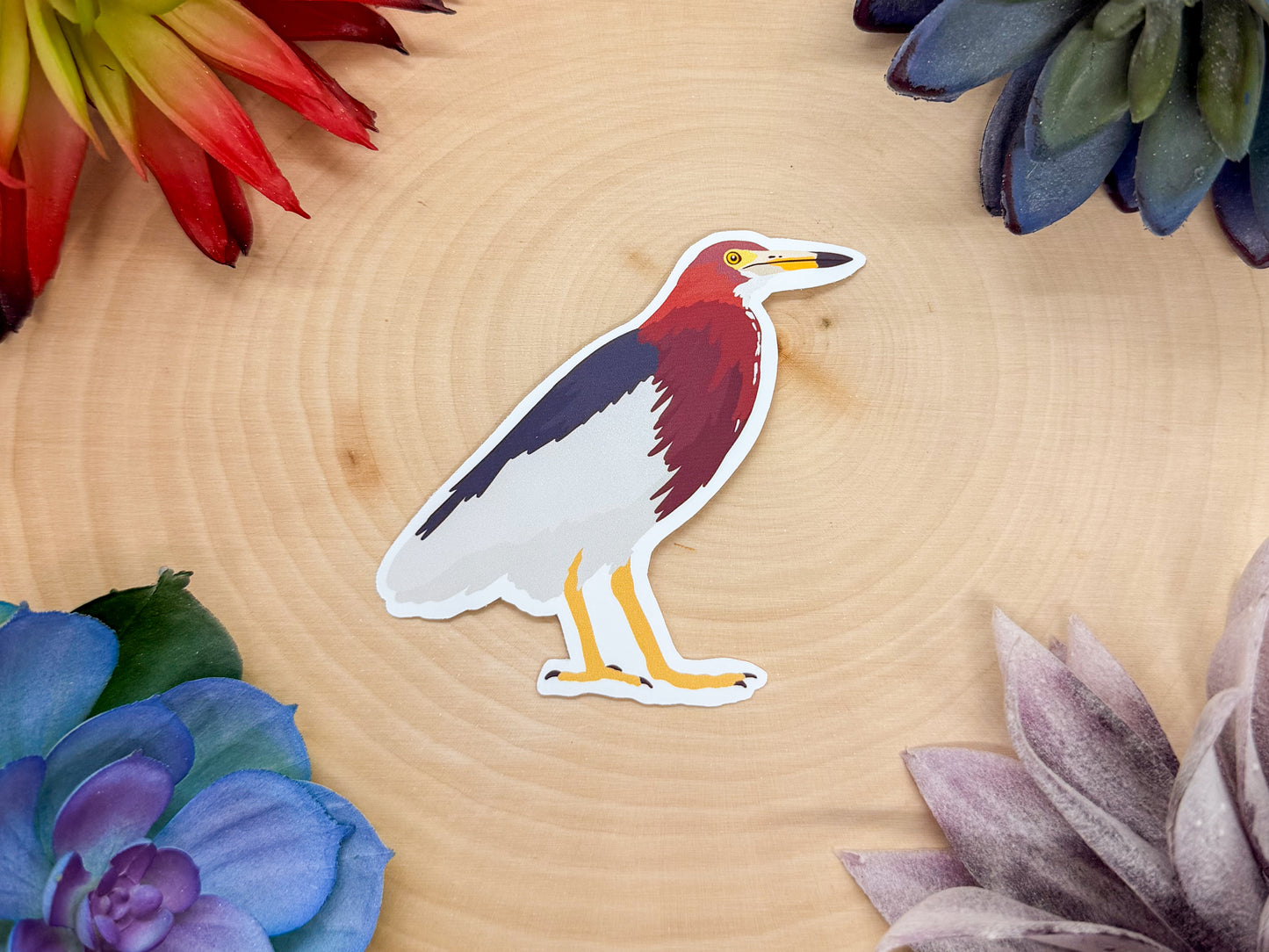 Chinese Pond Heron Sticker