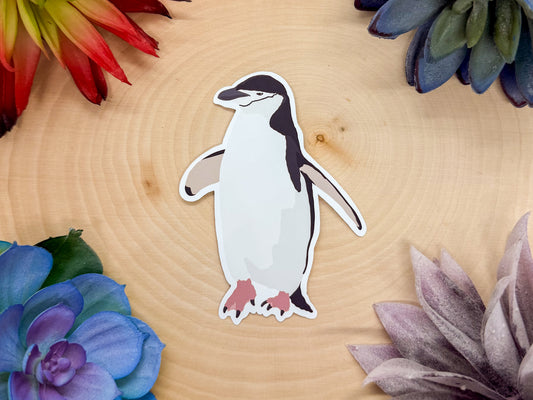 Chinstrap Penguin Sticker