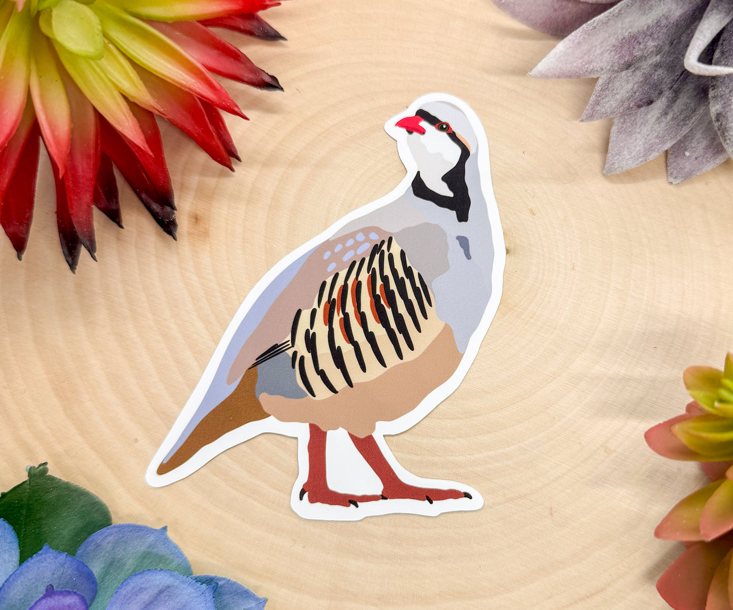 Chukar Sticker