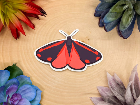 Cinnabar Moth Sticker
