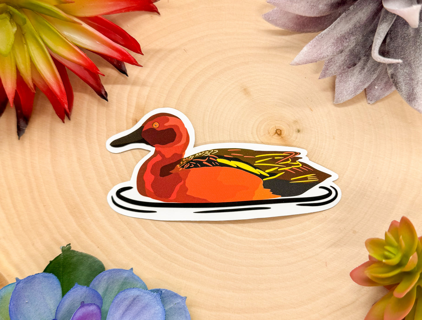 Cinnamon Teal Sticker