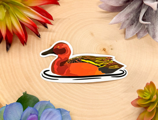 Cinnamon Teal Sticker