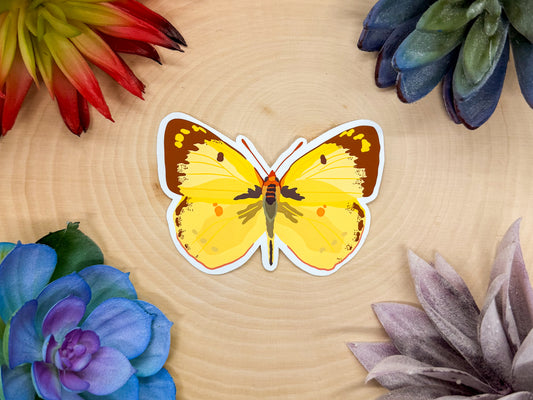 Clouded Sulphur Sticker