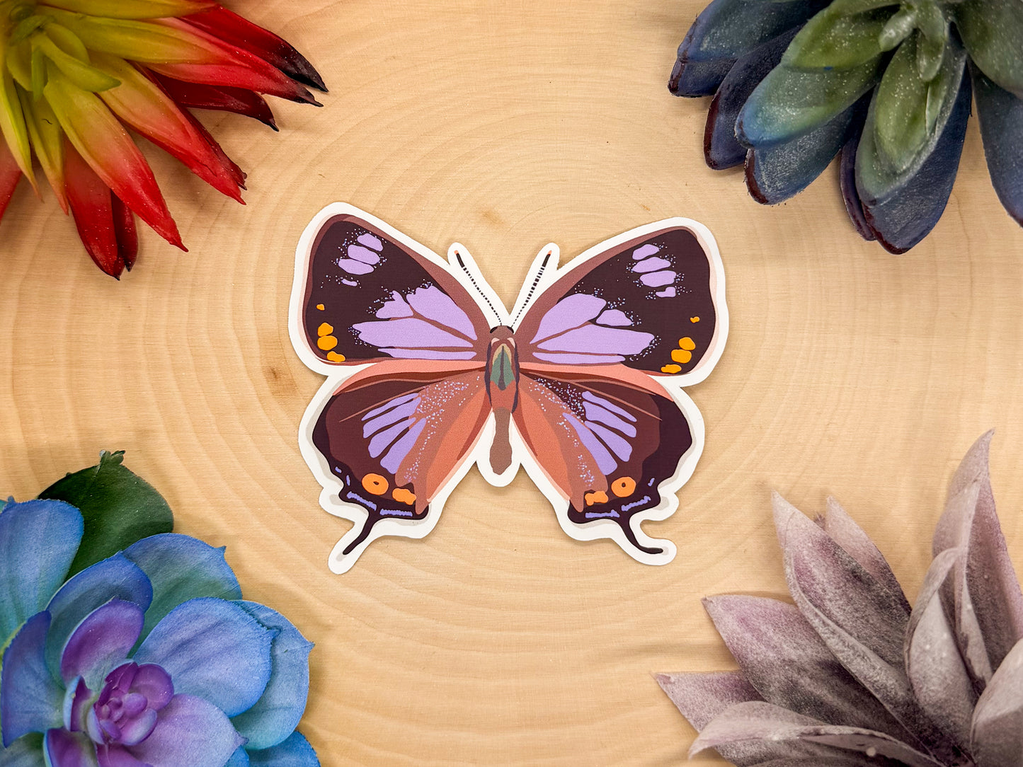 Colorado Hairstreak Sticker