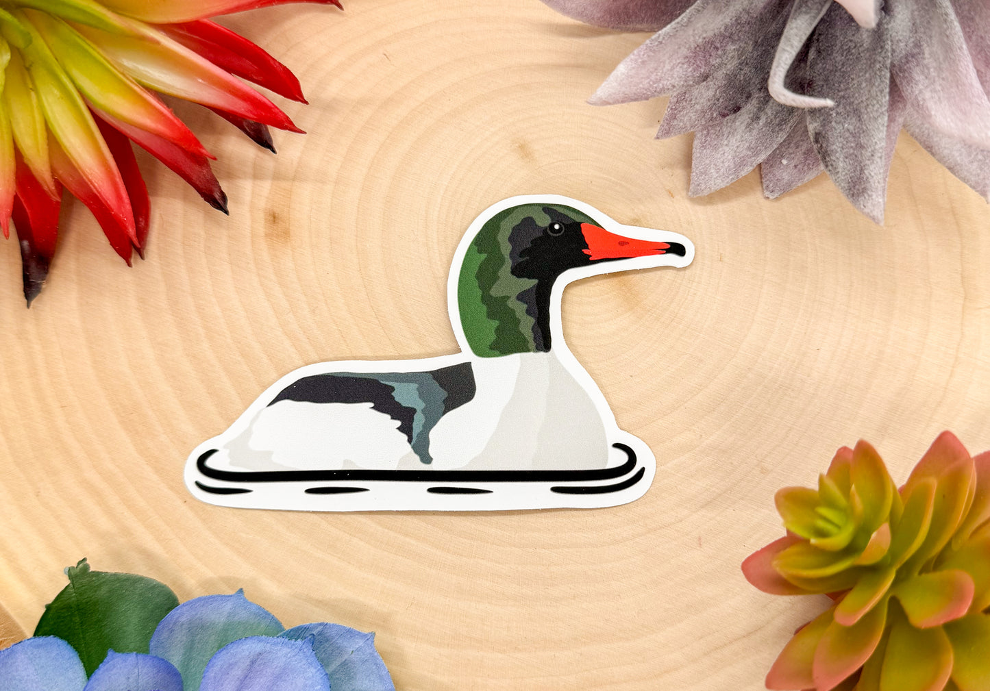 Common Merganser Sticker
