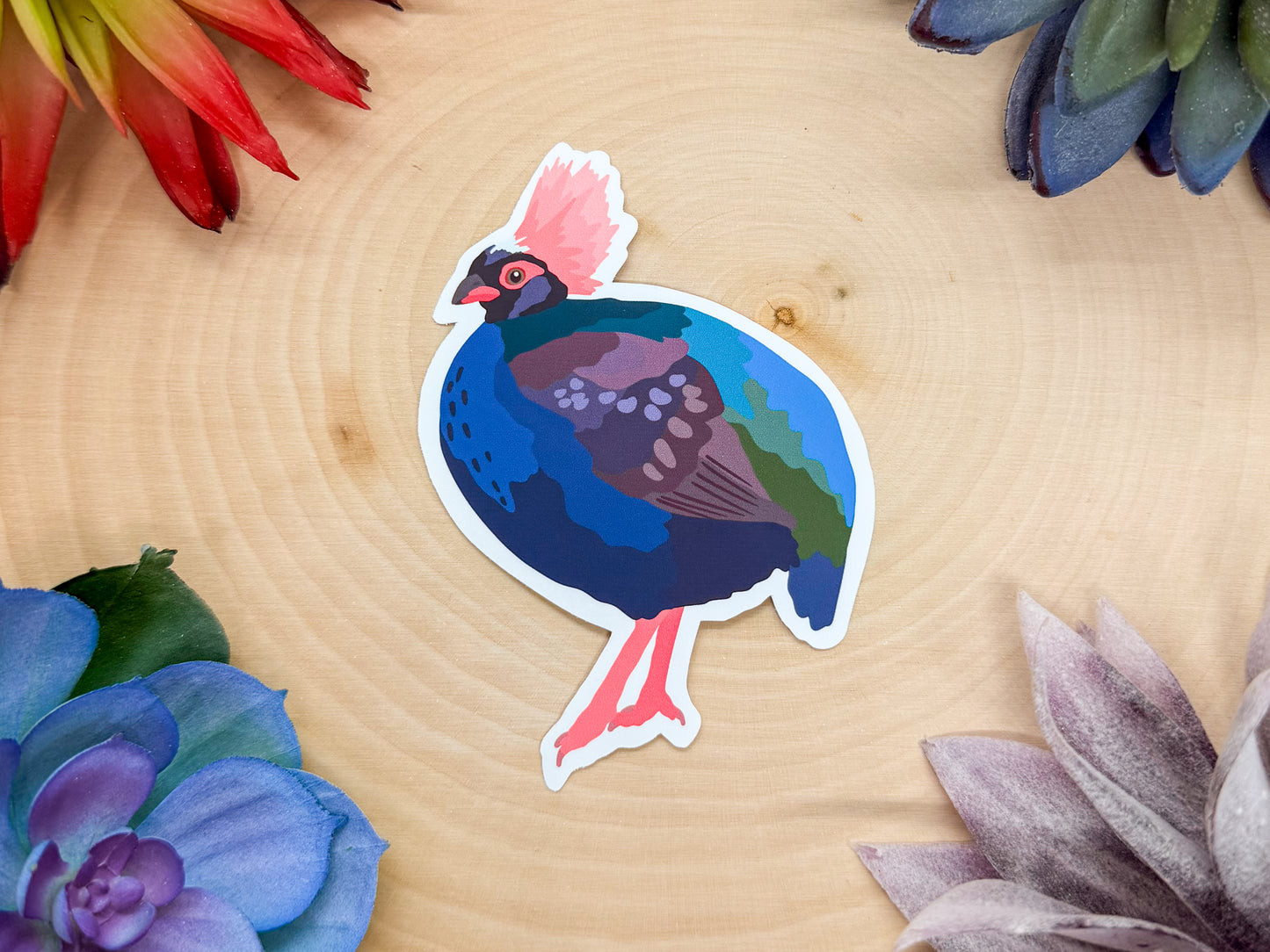 Crested Partridge Sticker
