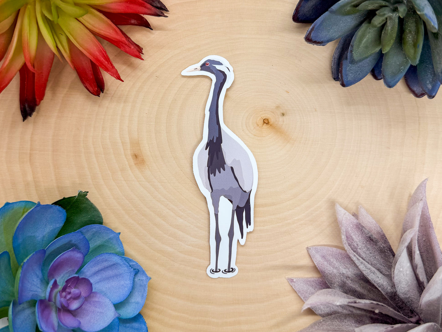 Demoiselle Crane Sticker
