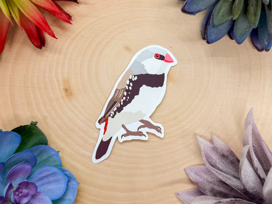 Diamond Firetail Sticker