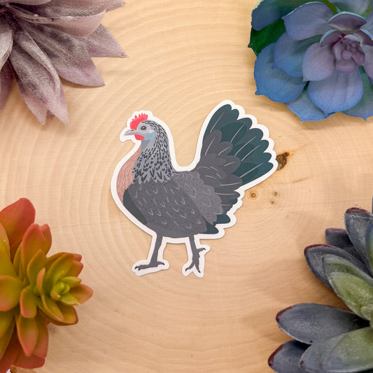 Dutch Bantam Chicken Sticker