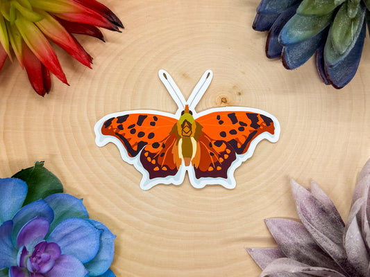 Eastern Comma Sticker