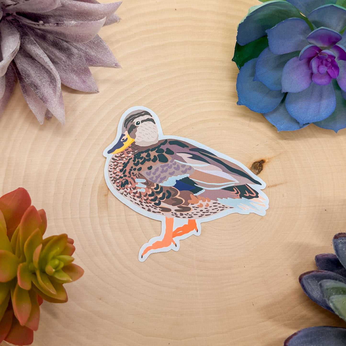 Female Mallard Sticker
