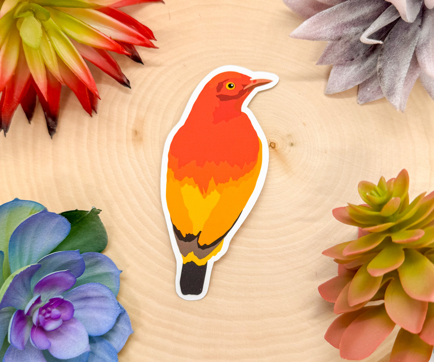 Flame Bowerbird Sticker