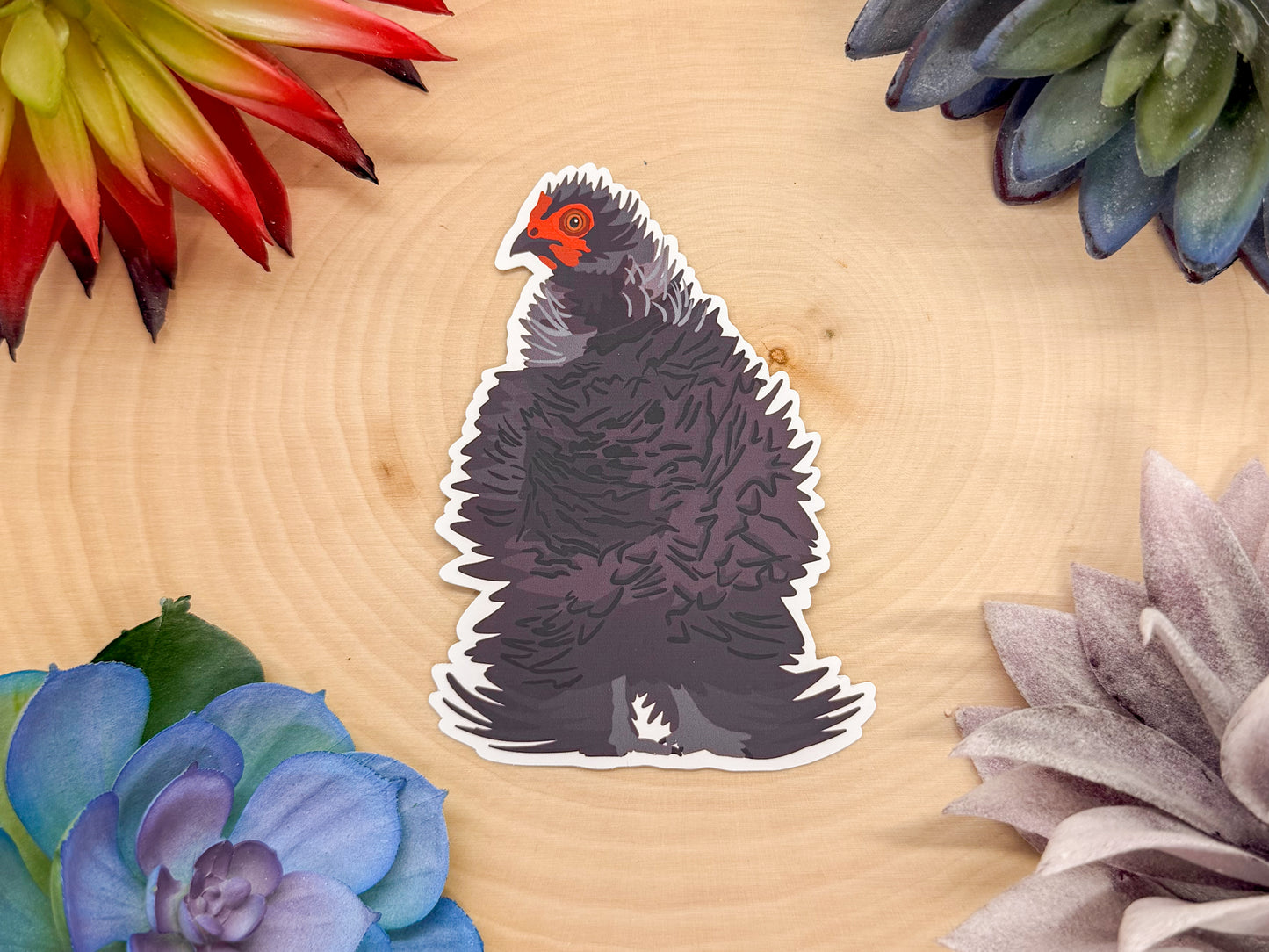Frizzle Chicken Sticker