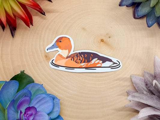 Fulvous Whistling Duck Sticker
