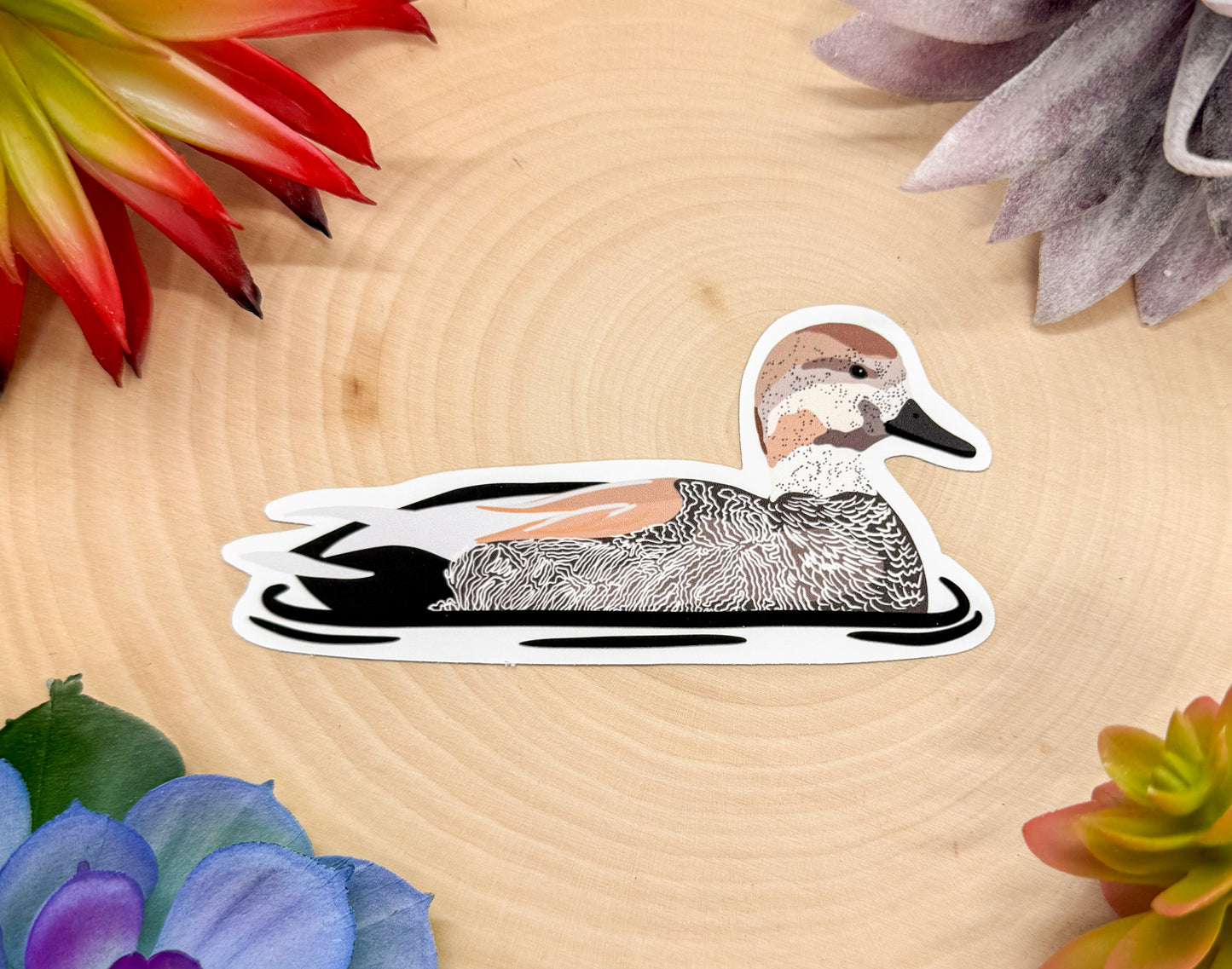 Gadwall Sticker