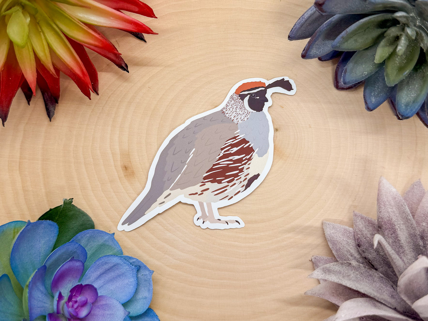 Gambels Quail Sticker