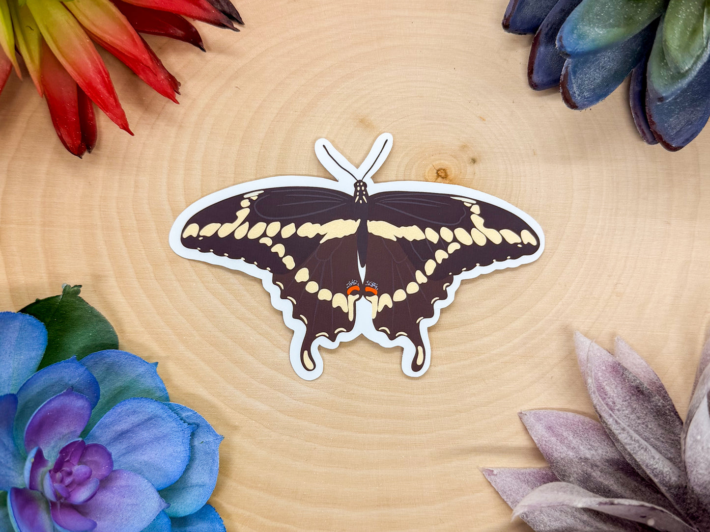 Giant Swallowtail Sticker