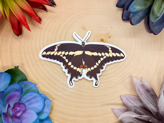 Giant Swallowtail Sticker