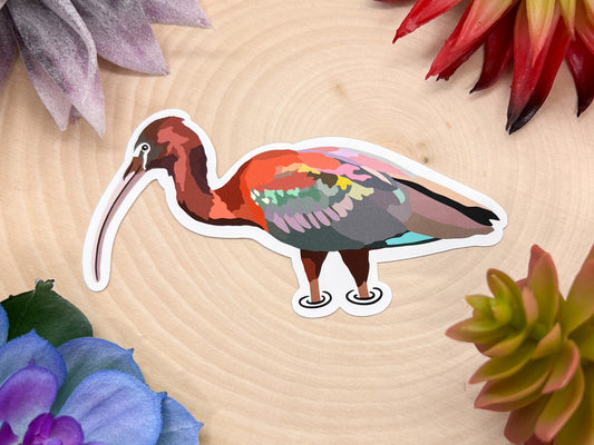 Glossy Ibis Sticker