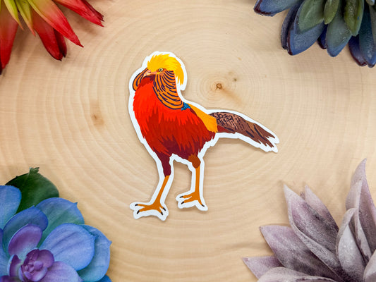 Golden Pheasant Sticker
