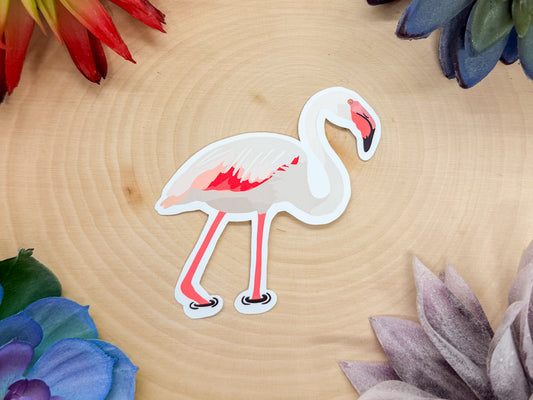 Greater Flamingo Sticker