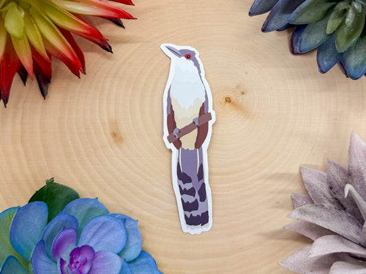 Great Lizard Cuckoo Sticker