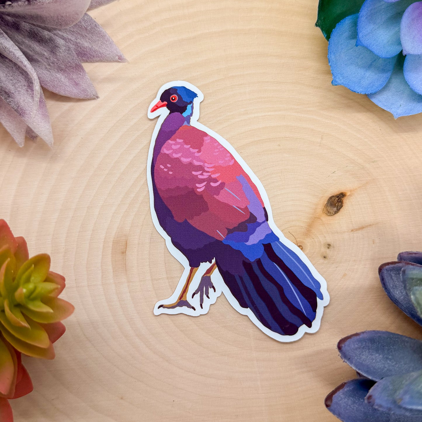 Green Naped Pheasant Pigeon Sticker