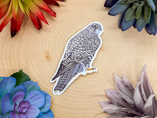 Gyrfalcon Sticker