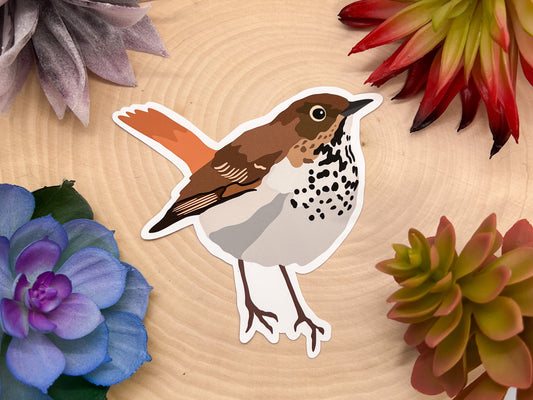 Hermit Thrush Sticker