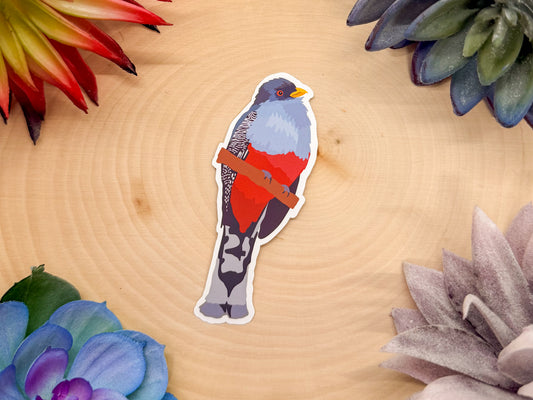 Hispaniolan Trogon Sticker