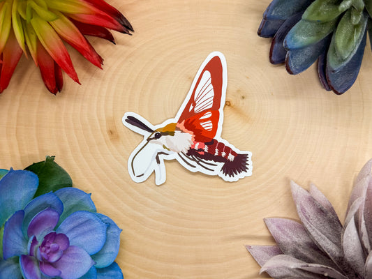 Hummingbird Clearwing Sticker