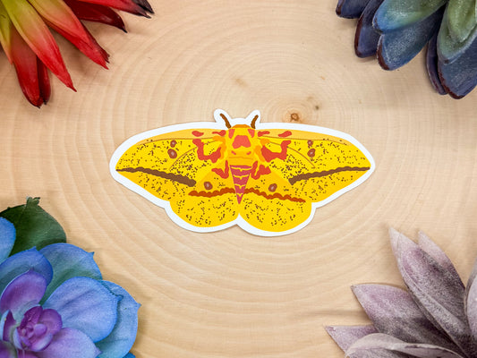 Imperial Moth Sticker