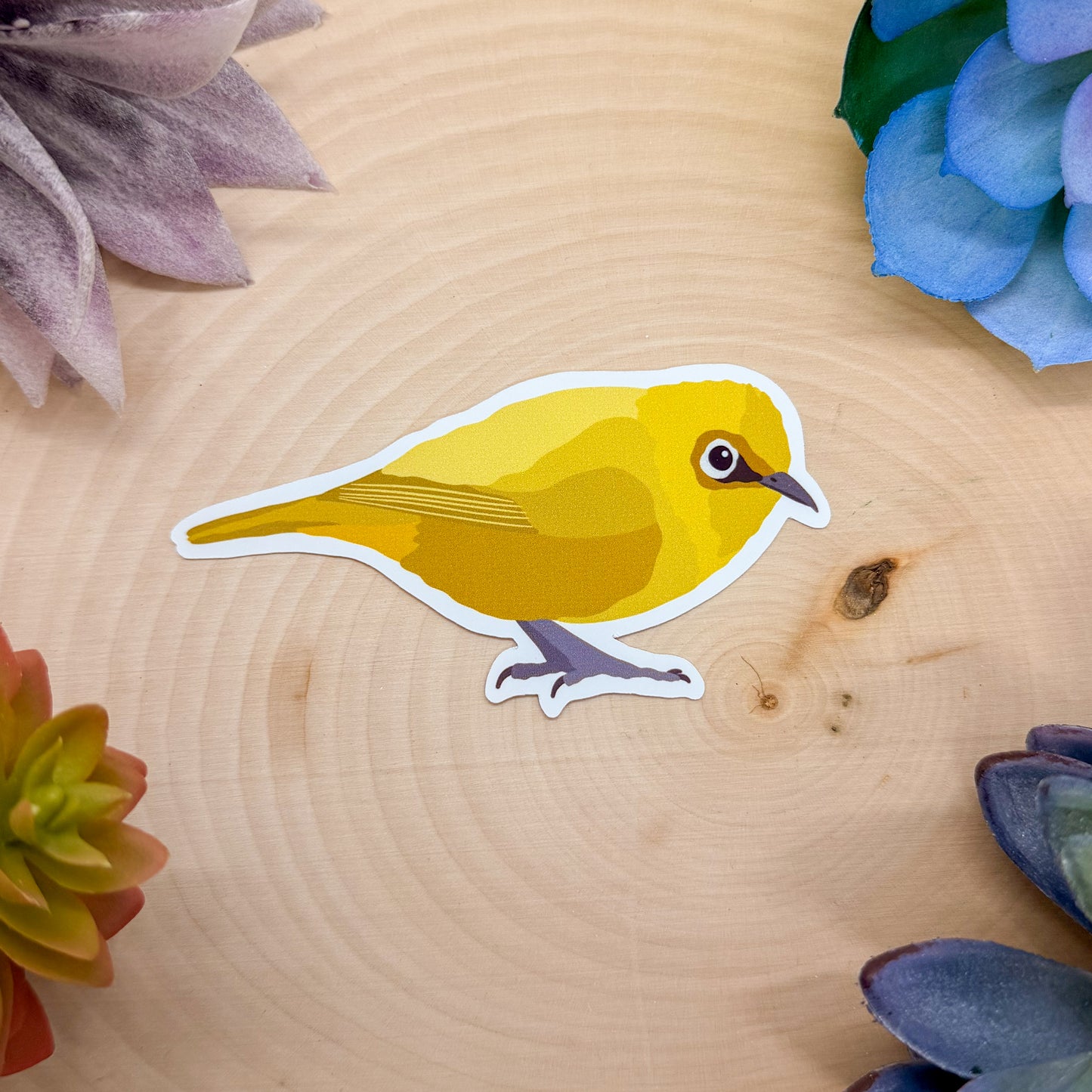 Indian White Eye Sticker