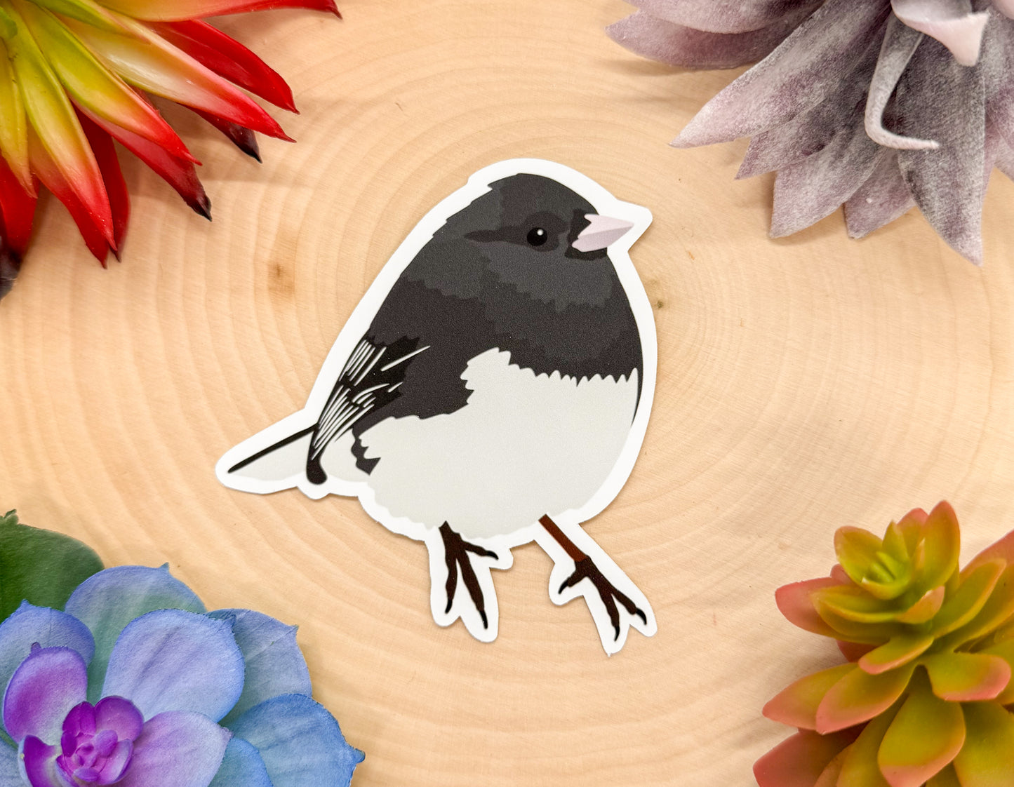 Dark Eyed Junco Sticker