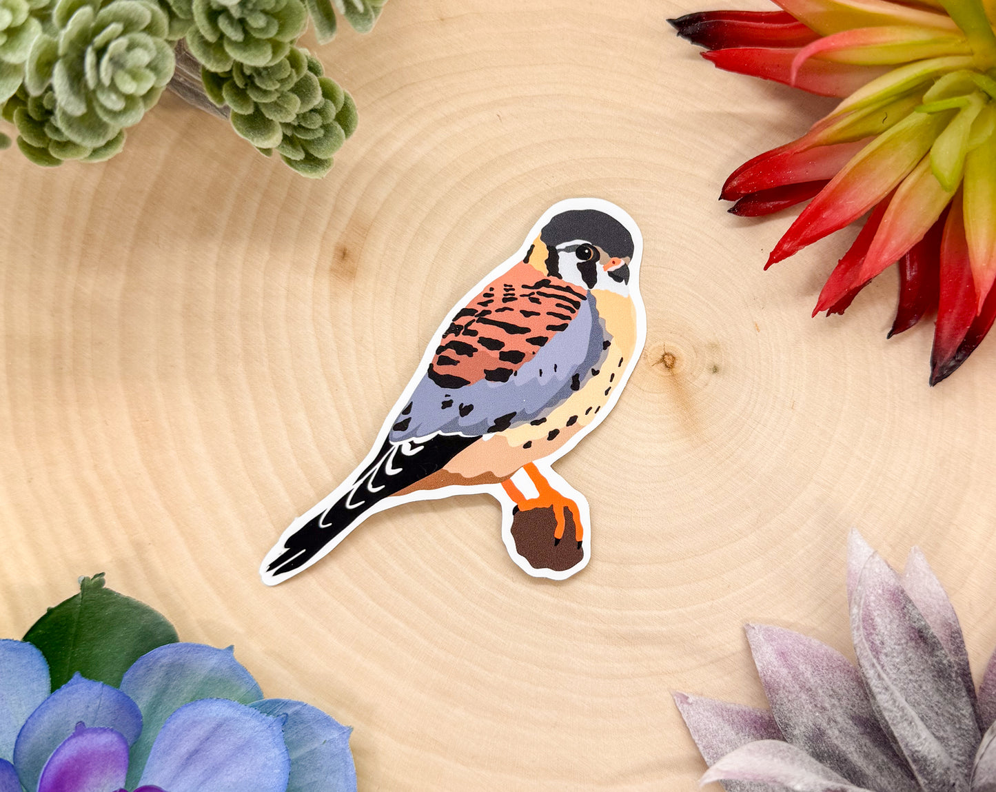 American Kestrel Sticker