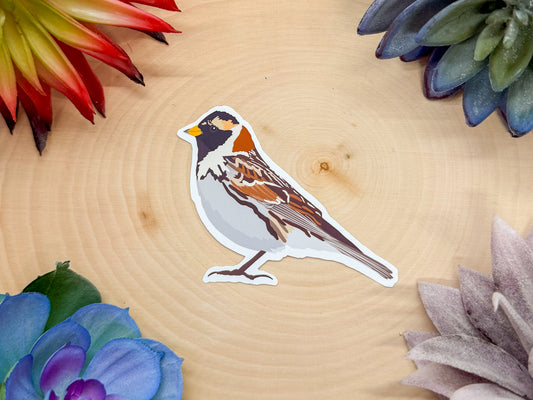 Lapland Longspur Sticker