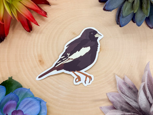 Lark Bunting Sticker