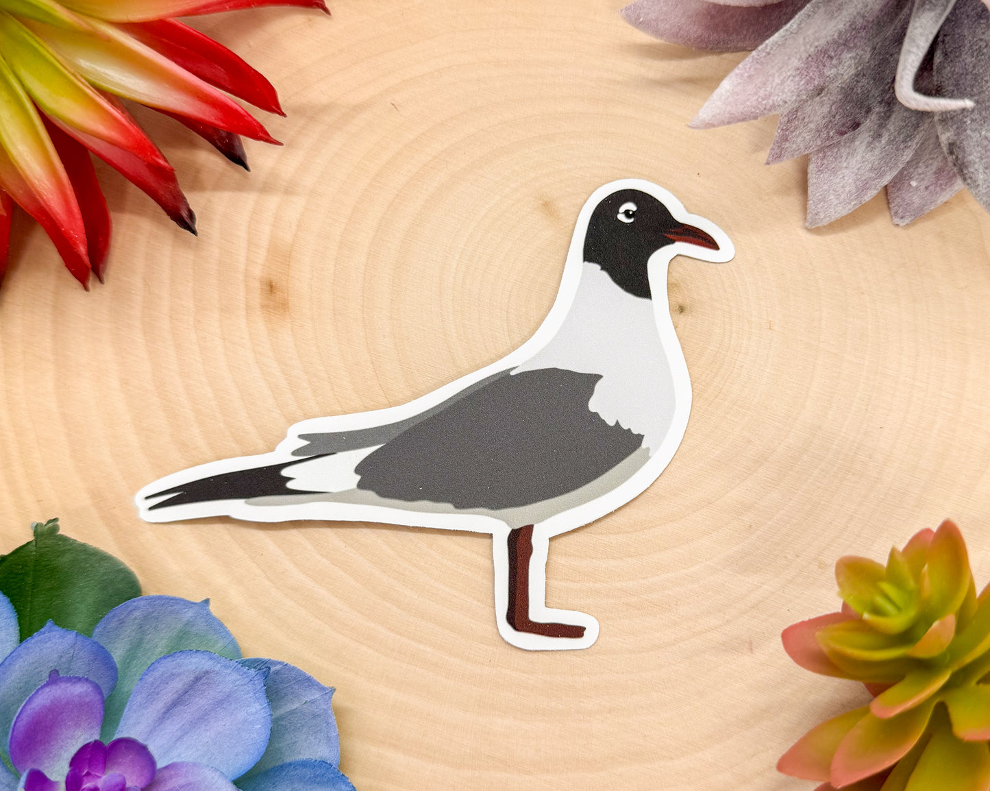 Laughing Gull Sticker