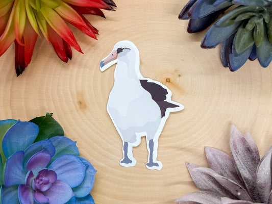 Laysan Albatross Sticker