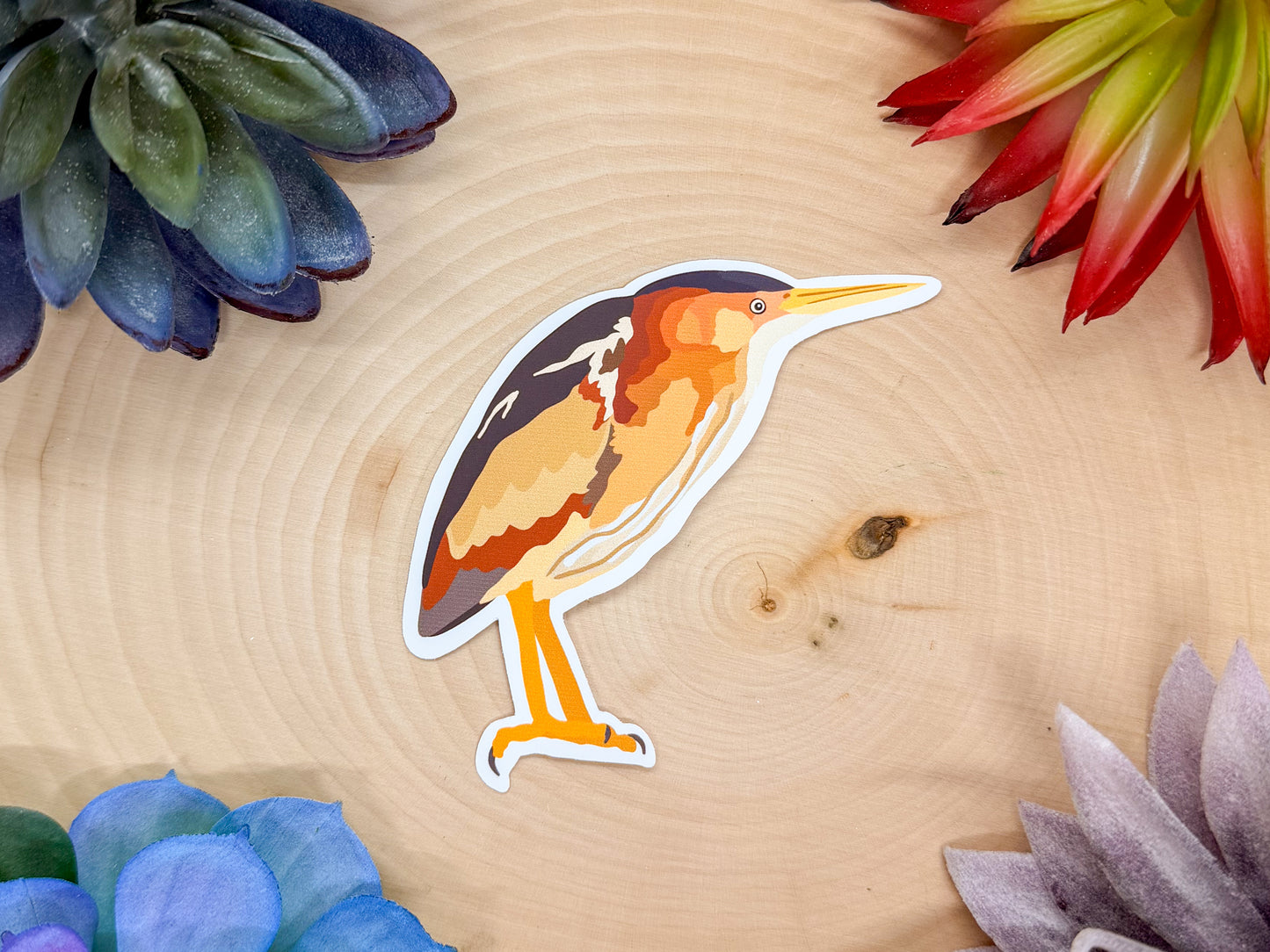 Least Bittern Sticker